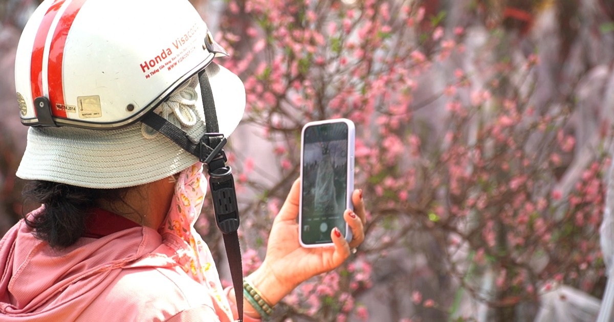 Chợ hoa xuân ở TPHCM nhộn nhịp ngày giáp Tết