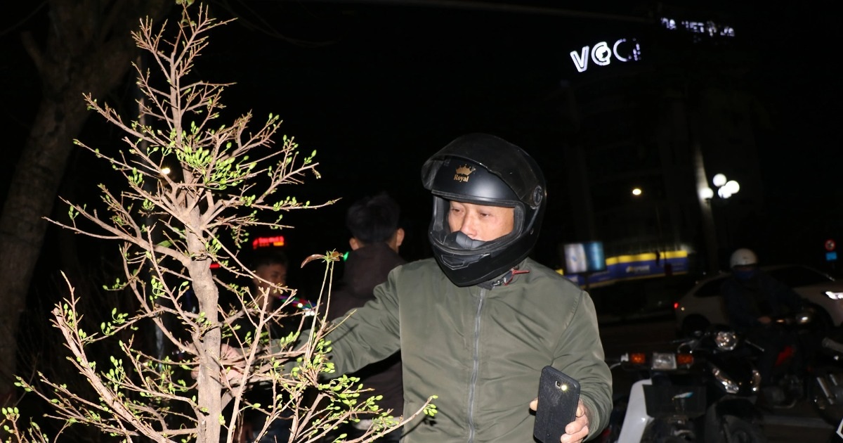 Hoa mai ế đêm giao thừa, chủ hô "giá nào cũng bán"