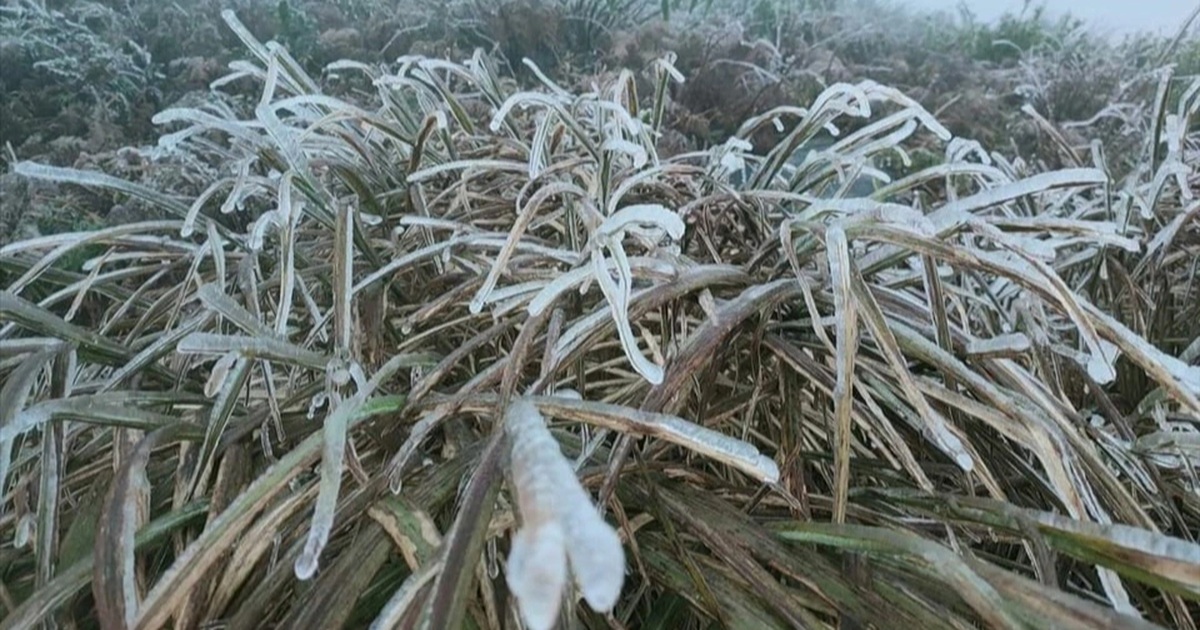 Lãnh đạo địa phương chịu trách nhiệm nếu để người dân chết vì rét