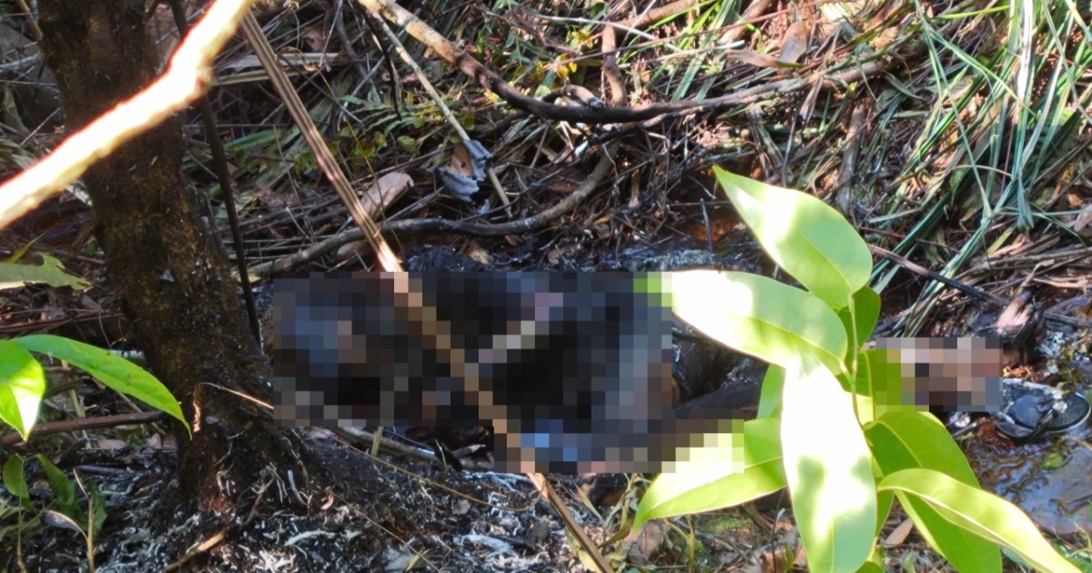 Phát hiện thi thể cháy đen trong rừng ở Lâm Đồng