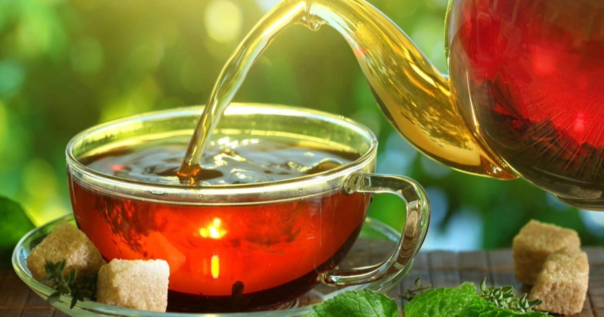 Uống nước lọc hay trà tốt hơn cho thận?