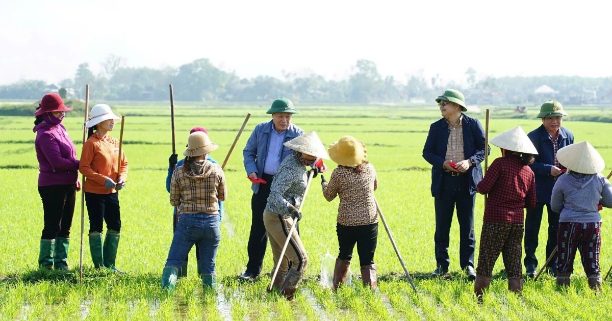 Nông dân Quảng Trị bất ngờ nhận lì xì chúc Tết của lãnh đạo tỉnh