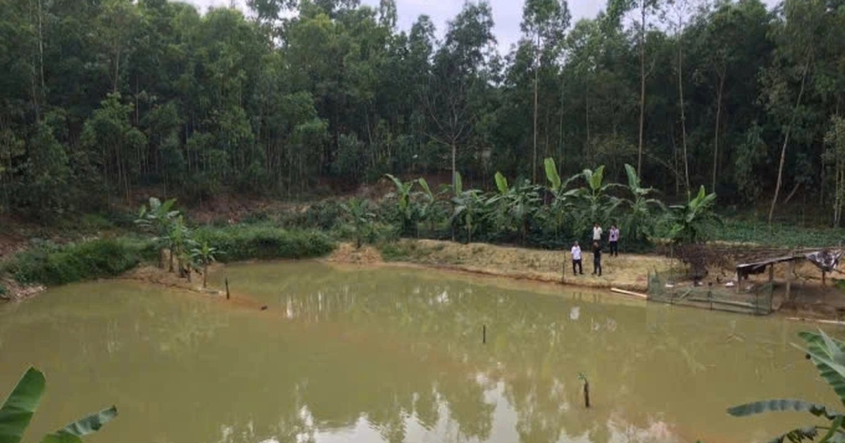 Về ngoại chơi Tết, cháu bé 8 tuổi gặp nạn ở hồ nước