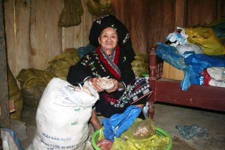 Thuốc Nam Mế Mụi: Bí Quyết Chữa Vô Sinh Từ Cây Rừng Tây Bắc Bà Mế Mụi - Người giữ bí quyết thuốc Nam chữa vô sinh