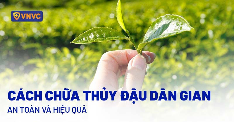 Bài Thuốc Nam Dân Gian: Giải Pháp Truyền Thống Cho Sức Khỏe Hiện Đại bài thuốc nam dân gian