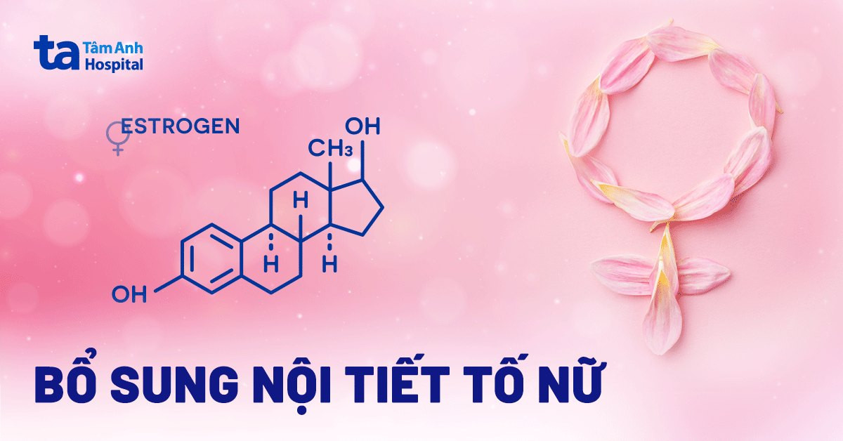 Thuốc Nam Bổ Sung Nội Tiết Tố Nữ: Giải Pháp An Toàn Và Hiệu Quả Các thảo dược tự nhiên giúp bổ sung nội tiết tố nữ