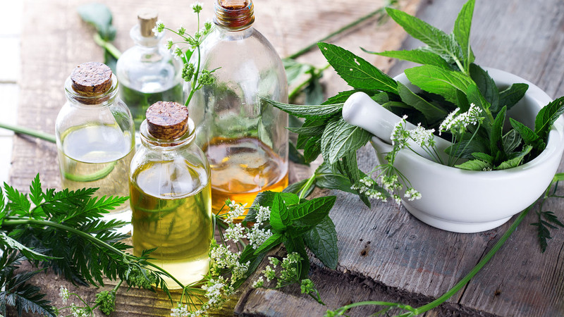 Thuốc Nam Uống Giảm Cân: Giải Pháp Tự Nhiên Và An Toàn Cho Người Việt Thảo dược thiên nhiên trong thuốc nam