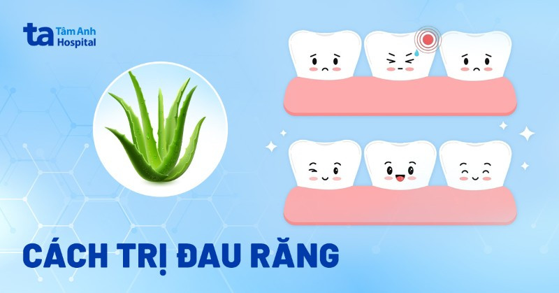 Thuốc Nam Ngậm Đau Răng: Giải Pháp Truyền Thống Hiệu Quả thuốc nam ngậm đau răng