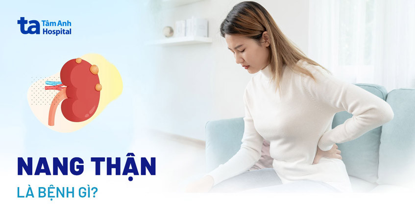 Thuốc Nam Phòng Nang Thận: Giải Pháp Tự Nhiên Cho Sức Khỏe Thận thuốc nam phòng nang thận