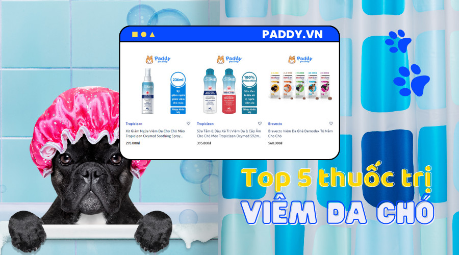 Thuốc Trị Nấm Chó: Giải Pháp Hiệu Quả Cho Các Vấn Đề Về Da Thuốc trị nấm chó