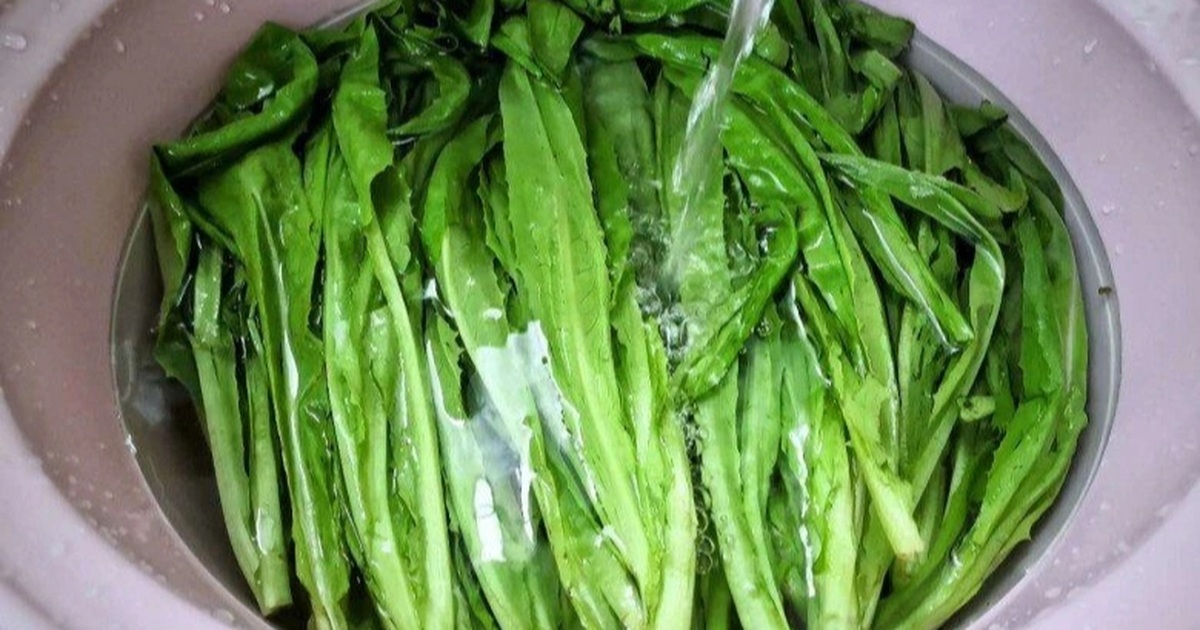 Loại Rau Giàu Canxi Dễ Hấp Thụ: Rau Diếp Thơm Loại rau có canxi gấp 36 lần canh xương hầm, giá rẻ bèo ở chợ Việt
