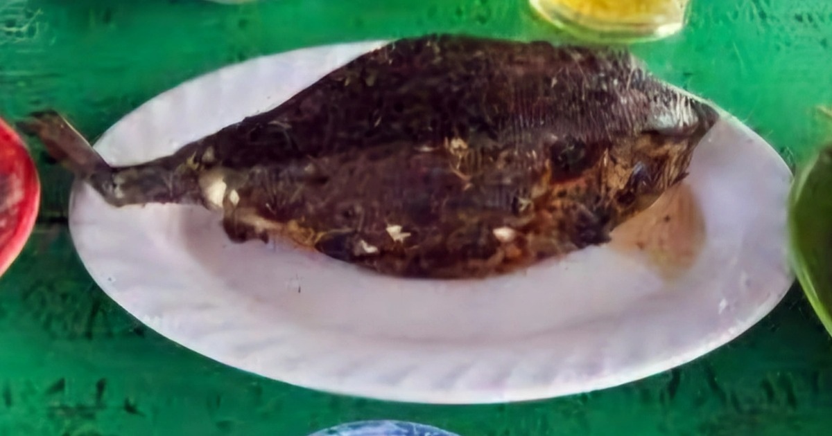 Quán ăn ở Nha Trang bị tố “chặt chém”, bán cá bò hòm 3,5 triệu đồng/kg Quán ăn ở Nha Trang bị tố "chặt chém", bán cá bò hòm 3,5 triệu đồng/kg