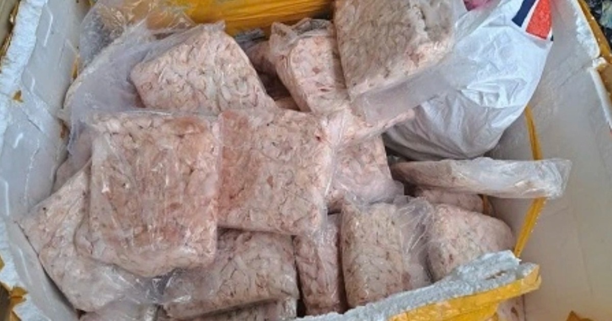 TPHCM Phát Hiện 50 Tấn Nội Tạng Động Vật và Hàng Chục Hộp Yến Sào Trôi Nổi TPHCM phát hiện 50 tấn nội tạng động vật và hàng chục hộp yến sào trôi nổi