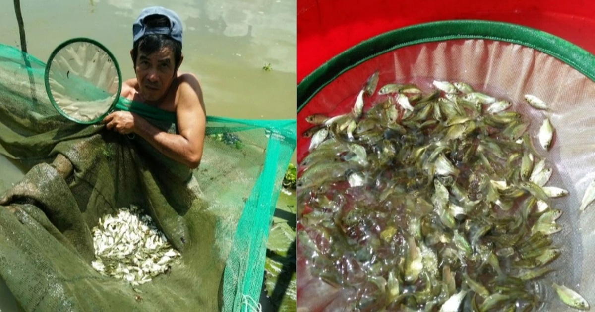 Thanh tra Phú Yên phanh phui các đề tài khoa học tiêu tốn gần 5 tỷ đồng Thanh tra "mổ xẻ" các đề tài khoa học được chi gần 5 tỷ đồng