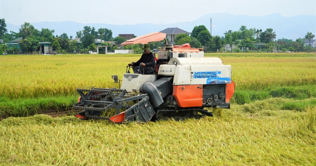 Người Dân Hà Tĩnh Lại Bị Sét Đánh Tử Vong Khi Làm Việc Ngoài Đồng Thêm một người dân ở Hà Tĩnh bị sét đánh tử vong