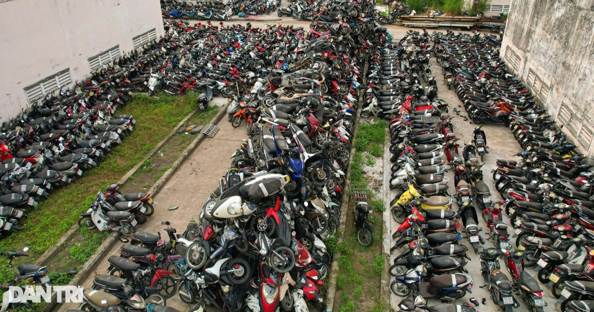 Vì sao Chính phủ đề xuất bán ngay tang vật, phương tiện vi phạm hành chính? Vì sao Chính phủ đề xuất bán ngay tang vật, phương tiện vi phạm hành chính?