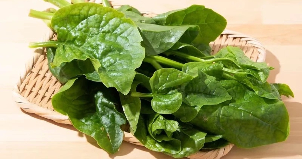 Điều gì xảy ra khi ăn rau mồng tơi hàng ngày? Điều gì xảy ra khi ăn rau mồng tơi hàng ngày?