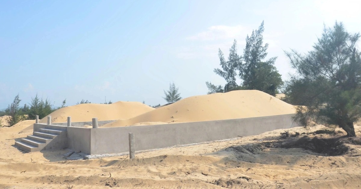 Hiện tượng lạ ở khu rừng phòng hộ ven biển trước thời điểm sáp nhập Hiện tượng lạ ở khu rừng phòng hộ ven biển trước thời điểm sáp nhập