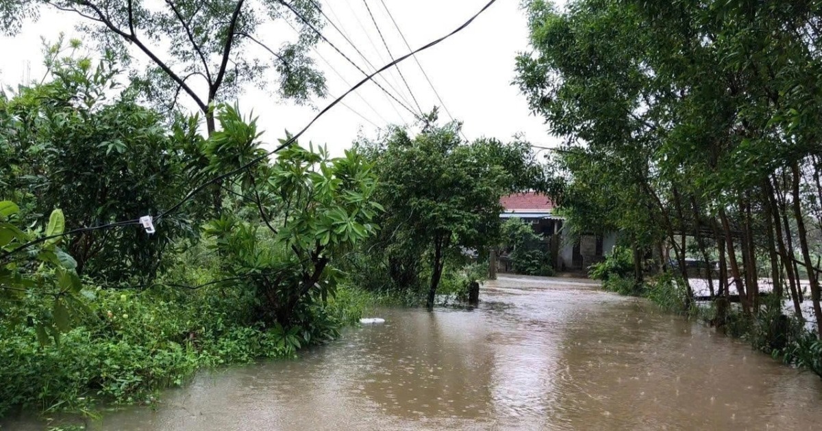 Người đàn ông tử vong vì vướng vào dây điện bị đứt giữa lúc mưa lũ Người đàn ông tử vong vì vướng vào dây điện bị đứt giữa lúc mưa lũ