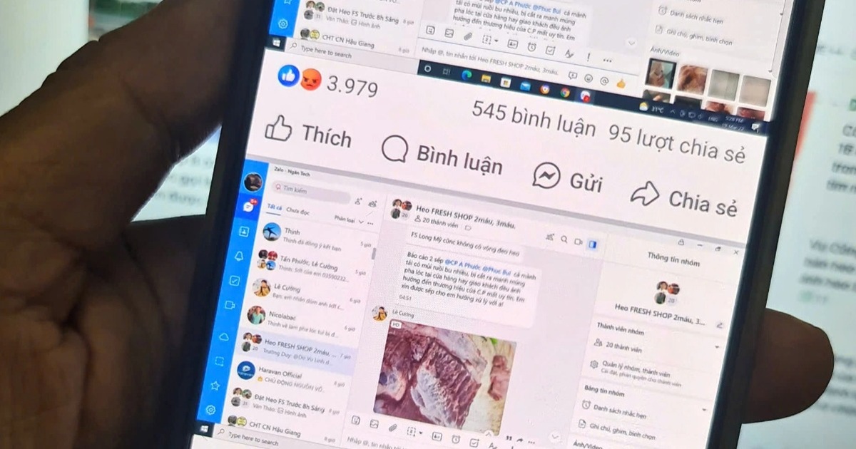 Vụ Trà Trộn Heo Bệnh Tại Công Ty C.P. Việt Nam: Những Phản Ánh Mới Nhất Người từng quản lý chi nhánh C.P. ở Hậu Giang nói gì về phản ánh heo bệnh?