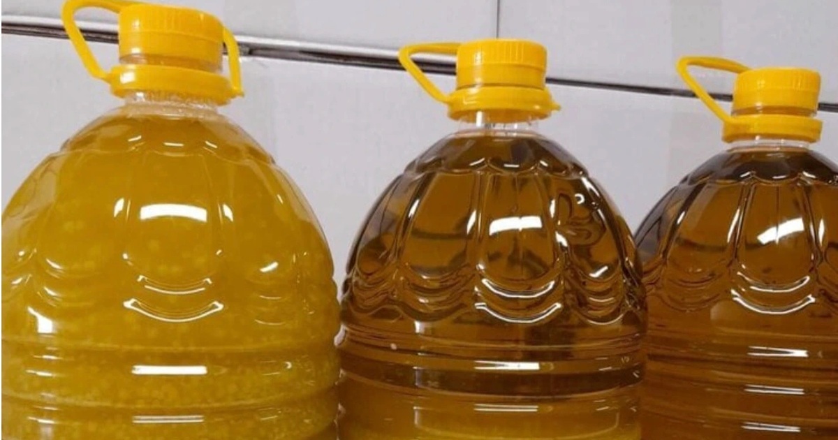 Những chỉ số “chết” và hậu quả lâu dài khi người dân dùng dầu ăn chăn nuôi Những chỉ số "chết" và hậu quả lâu dài khi người dân dùng dầu ăn chăn nuôi