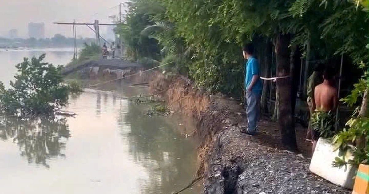 Sạt lở bờ đê ven sông ở TPHCM, lên phương án di dời 6 hộ dân Sạt lở bờ đê ven sông ở TPHCM, lên phương án di dời 6 hộ dân