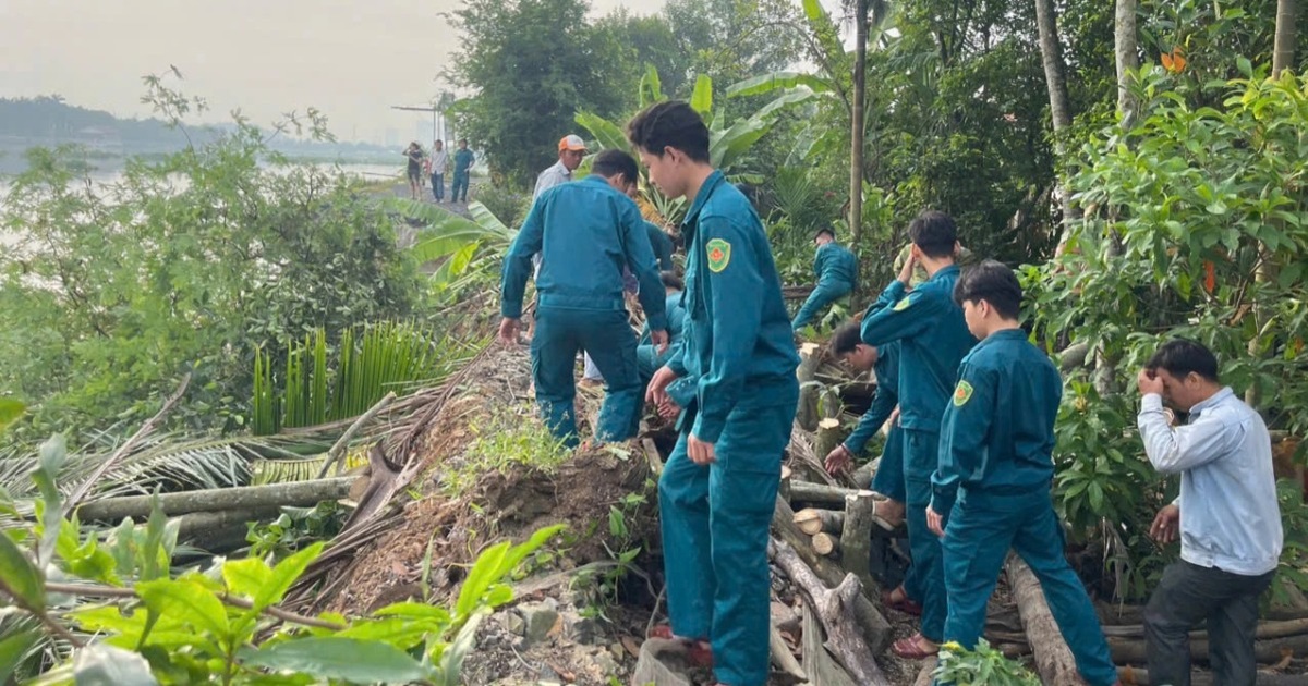 TPHCM chỉ đạo khẩn sau sự cố sạt lở đê bao sông Sài Gòn TPHCM chỉ đạo khẩn sau sự cố sạt lở đê bao sông Sài Gòn