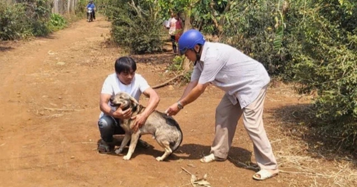 Bốn người bị chó dại cắn, một người tử vong Bốn người bị chó dại cắn, một người tử vong