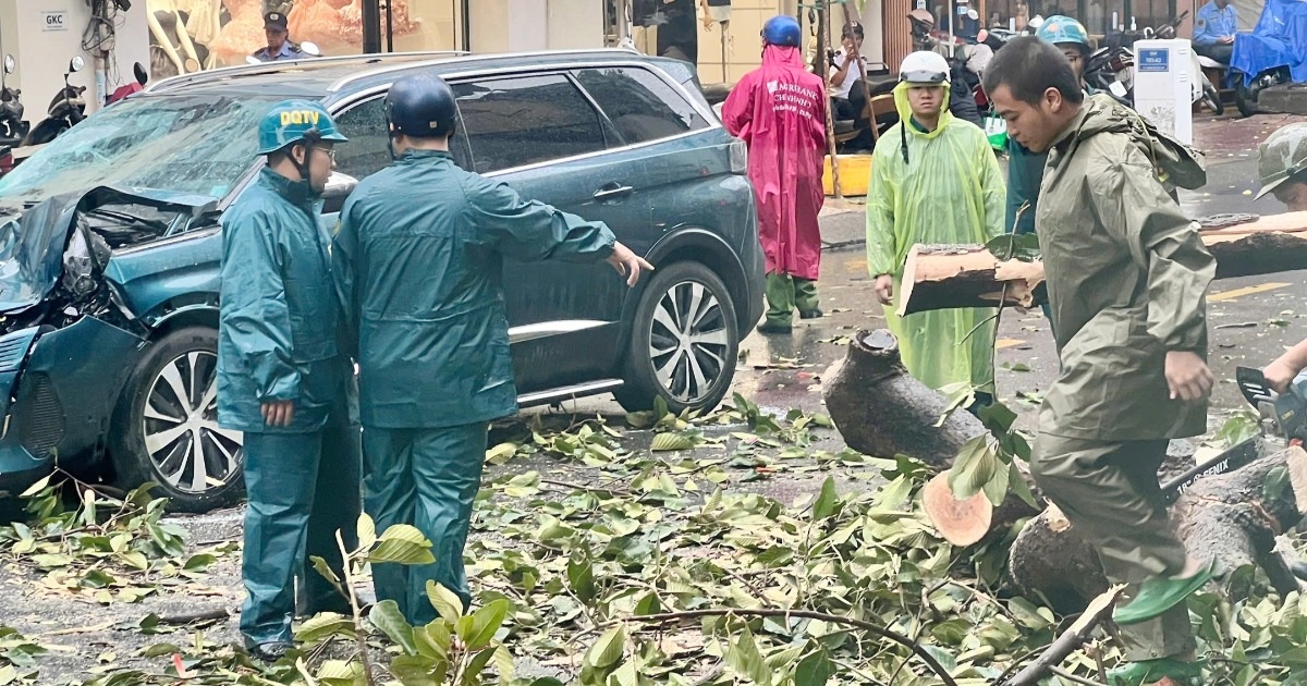 Cây xanh bật gốc đè ô tô tại TPHCM, ai chịu trách nhiệm? Cây xanh bật gốc đè ô tô tại TPHCM, ai chịu trách nhiệm?