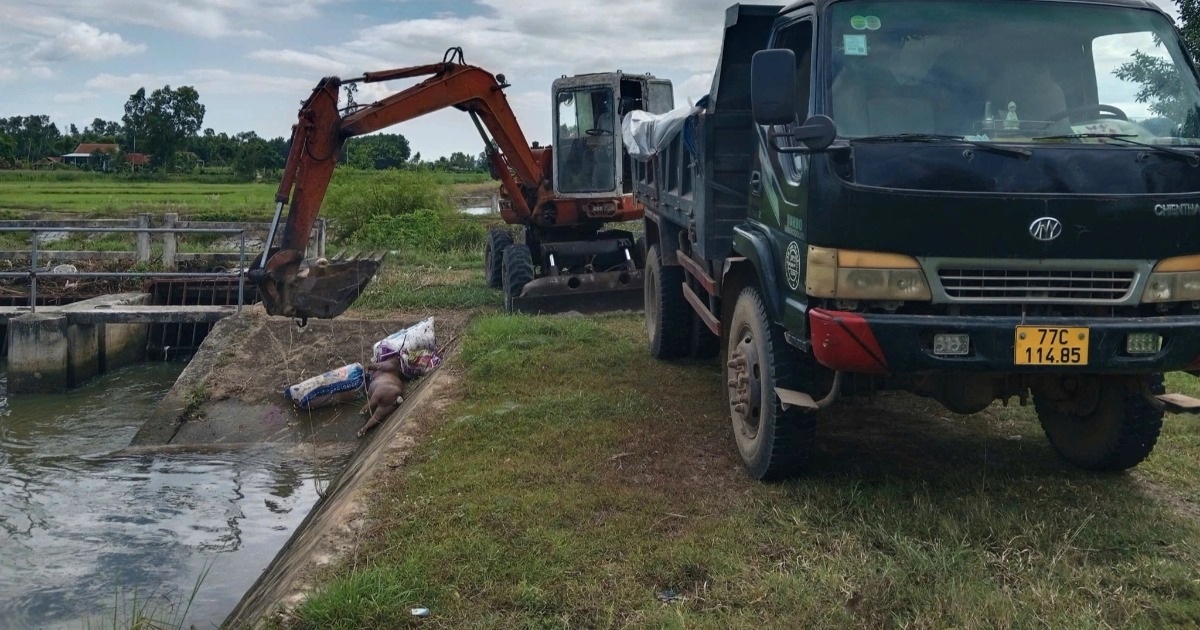 Chính quyền xin lỗi dân vì mùi hôi thối khi xử lý xác lợn chết Chính quyền xin lỗi dân vì mùi hôi thối khi xử lý xác lợn chết