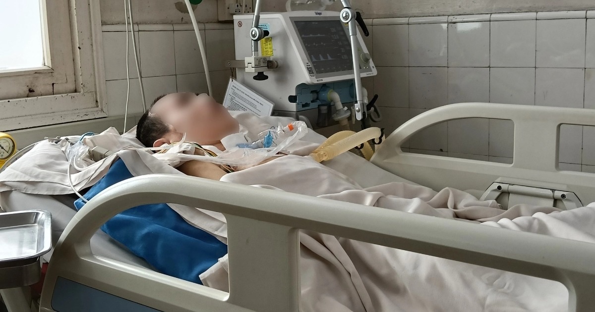 Hà Nội, TPHCM ghi nhận bệnh viêm não Nhật Bản, có thể lây qua muỗi đốt Hà Nội, TPHCM ghi nhận bệnh viêm não Nhật Bản, có thể lây qua muỗi đốt