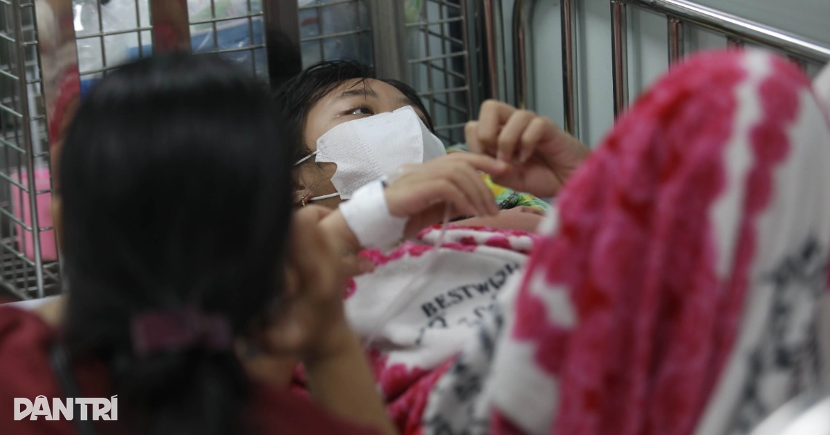 Hàng loạt người lớn, trẻ em ở TPHCM nhập viện vì đe dọa sốc sốt xuất huyết Hàng loạt người lớn, trẻ em ở TPHCM nhập viện vì đe dọa sốc sốt xuất huyết