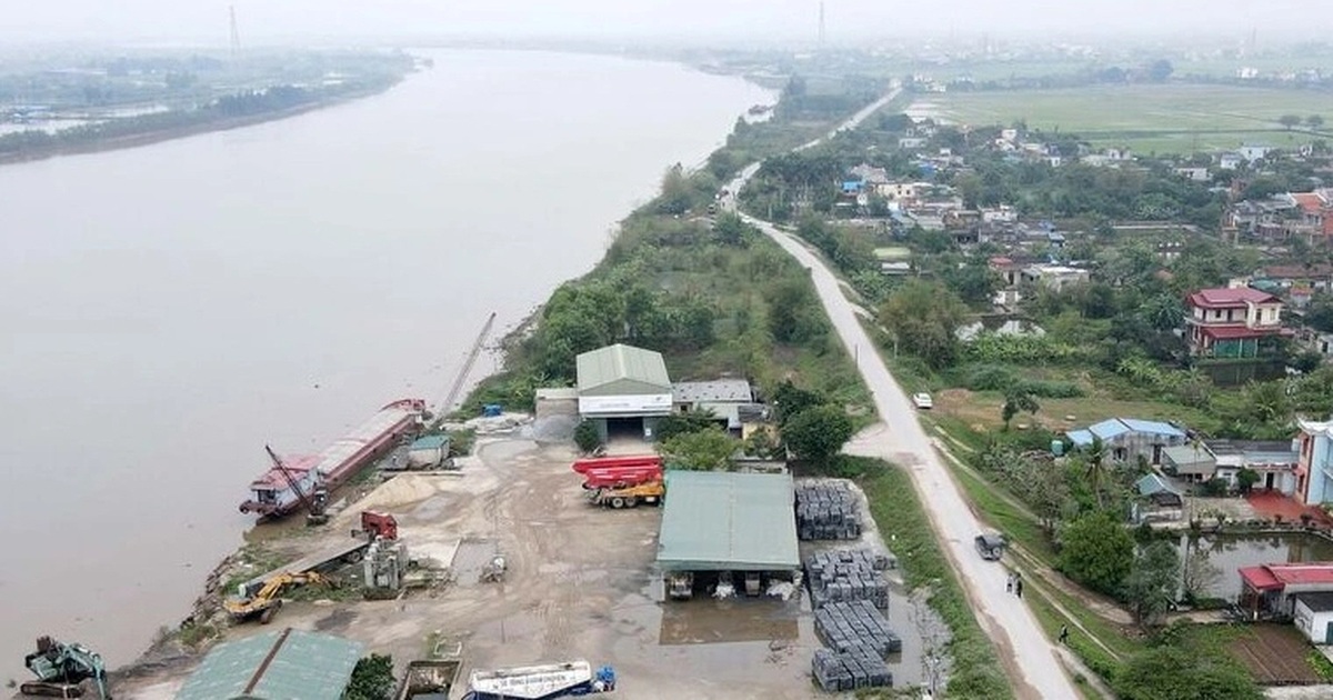 Loạt vi phạm đê điều ở Thái Bình đã được xử lý như thế nào? Loạt vi phạm đê điều ở Thái Bình đã được xử lý như thế nào?