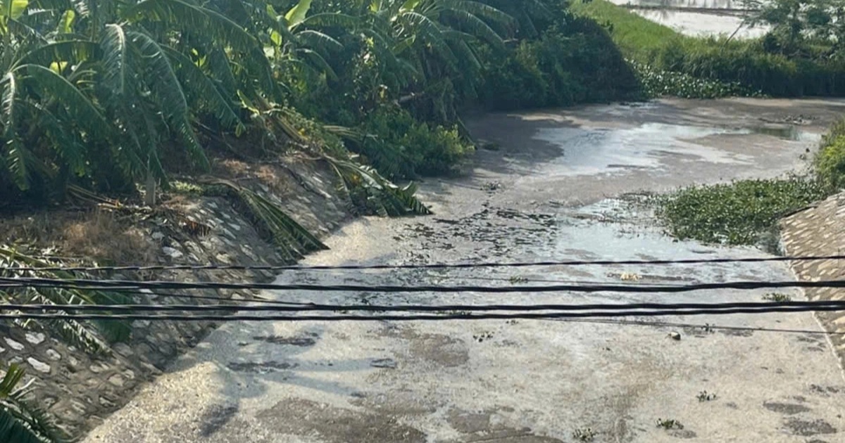 Mương nước gần trại lợn ở Hải Phòng ô nhiễm do rò rỉ hầm biogas? Mương nước gần trại lợn ở Hải Phòng ô nhiễm do rò rỉ hầm biogas?