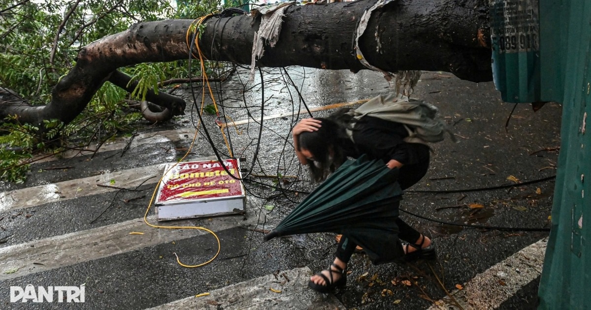 Thủ tướng: Hạn chế người dân ra đường khi bão đổ bộ Thủ tướng: Hạn chế người dân ra đường khi bão đổ bộ