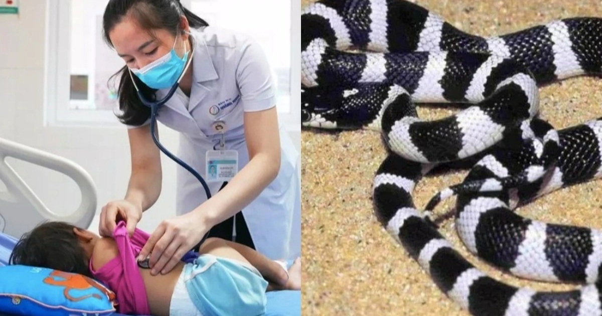 3 tiếng sau khi rắn bò ngang người, bé 21 tháng tuổi hôn mê, tím tái 3 tiếng sau khi rắn bò ngang người, bé 21 tháng tuổi hôn mê, tím tái