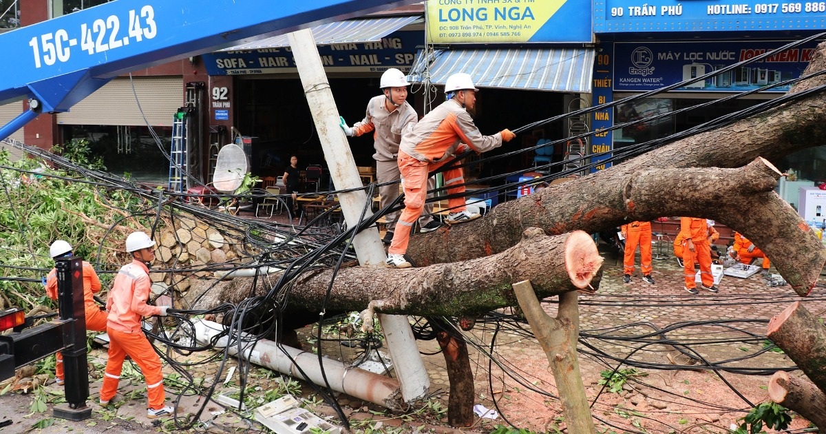 30.000 cây gãy đổ, lý giải việc không cắt tỉa trước bão 30.000 cây gãy đổ, lý giải việc không cắt tỉa trước bão