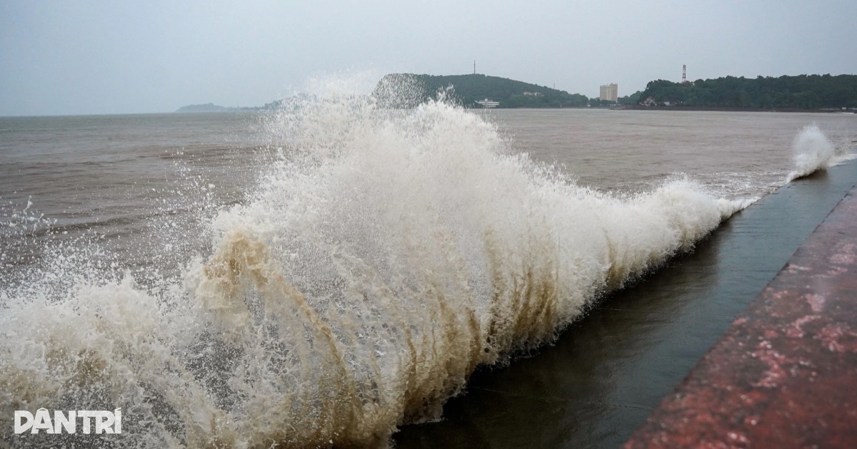 Áp thấp nhiệt đới trên Biển Đông, quản lý chặt phương tiện ra khơi Áp thấp nhiệt đới trên Biển Đông, quản lý chặt phương tiện ra khơi