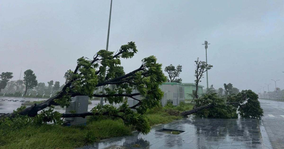 Bão Kajiki đổ bộ bờ biển Nghệ An – Hà Tĩnh: Mưa trắng trời, gió quật mạnh Bão Kajiki đổ bộ bờ biển Nghệ An - Hà Tĩnh: Mưa trắng trời, gió quật mạnh