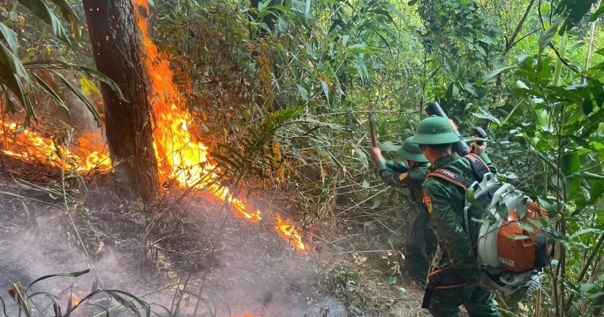 Cháy rừng ở đèo Ngang, nghi do đốt ong Cháy rừng ở đèo Ngang, nghi do đốt ong