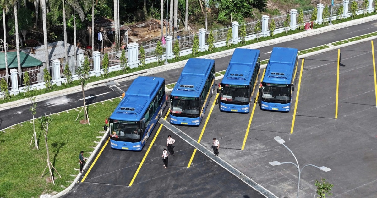 Chạy thiếu hàng trăm chuyến buýt, hãng xe Phương Trang bị xử lý thế nào? Chạy thiếu hàng trăm chuyến buýt, hãng xe Phương Trang bị xử lý thế nào?