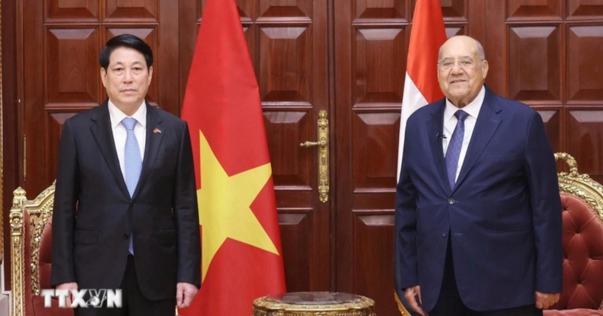 Chủ tịch nước Lương Cường hội kiến Chủ tịch Thượng viện Ai Cập Chủ tịch nước Lương Cường hội kiến Chủ tịch Thượng viện Ai Cập