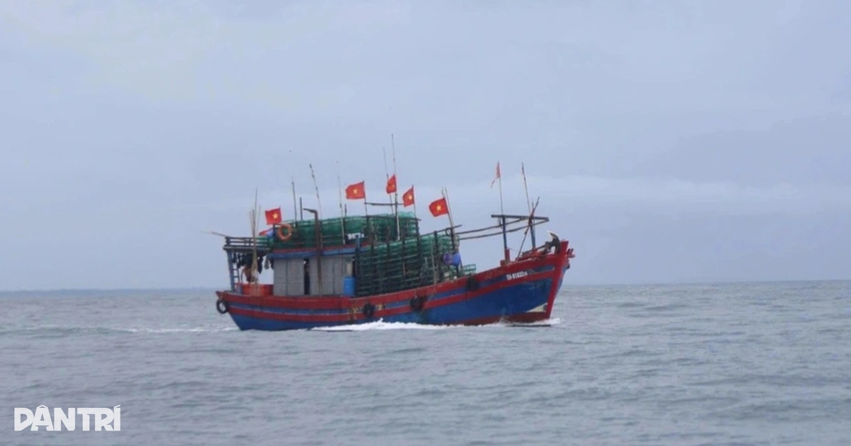 Đề nghị 12 địa phương canh gác bảo vệ đê, chủ động ứng phó bão số 5 Đề nghị 12 địa phương canh gác bảo vệ đê, chủ động ứng phó bão số 5