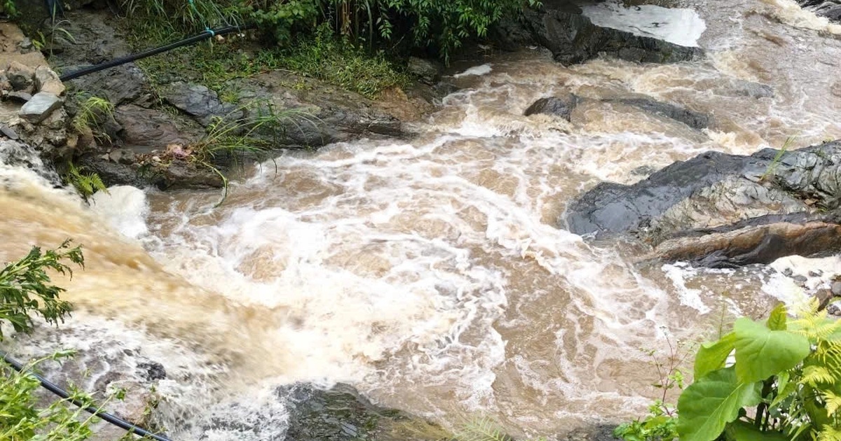 Hai mẹ con bị nước cuốn khi đi qua dòng suối chảy xiết Hai mẹ con bị nước cuốn khi đi qua dòng suối chảy xiết