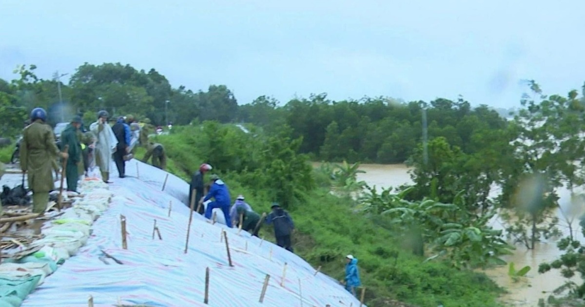 Hơn 150 người đội mưa “cứu” đê sông Chu Hơn 150 người đội mưa “cứu” đê sông Chu