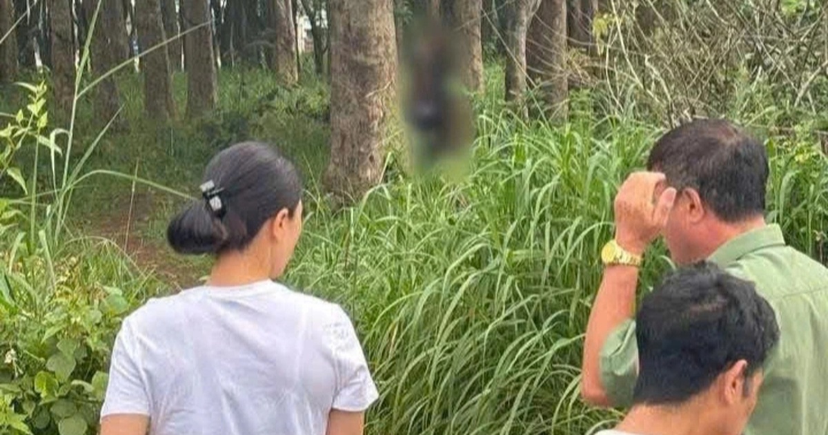 Người đàn ông 53 tuổi tử vong trong rừng cao su ở Đồng Nai Người đàn ông 53 tuổi tử vong trong rừng cao su ở Đồng Nai