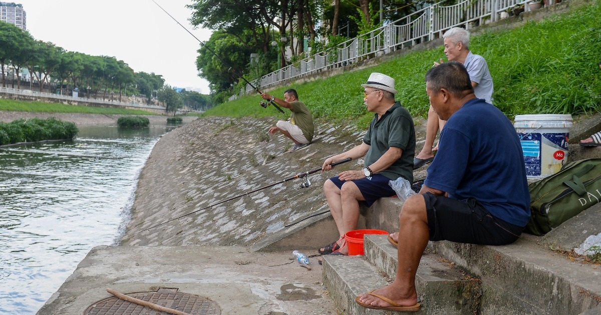 Cảnh tượng đặc biệt sau mấy chục năm mới xuất hiện trên sông Tô Lịch Cảnh tượng đặc biệt sau mấy chục năm mới xuất hiện trên sông Tô Lịch