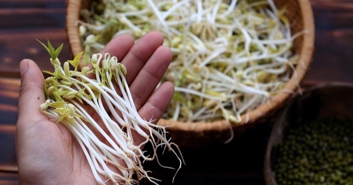 “Nước kẹo” ủ giá đỗ – Chất độc hại gan, gây dị tật thai nhi "Nước kẹo" ủ giá đỗ - Chất độc hại gan, gây dị tật thai nhi