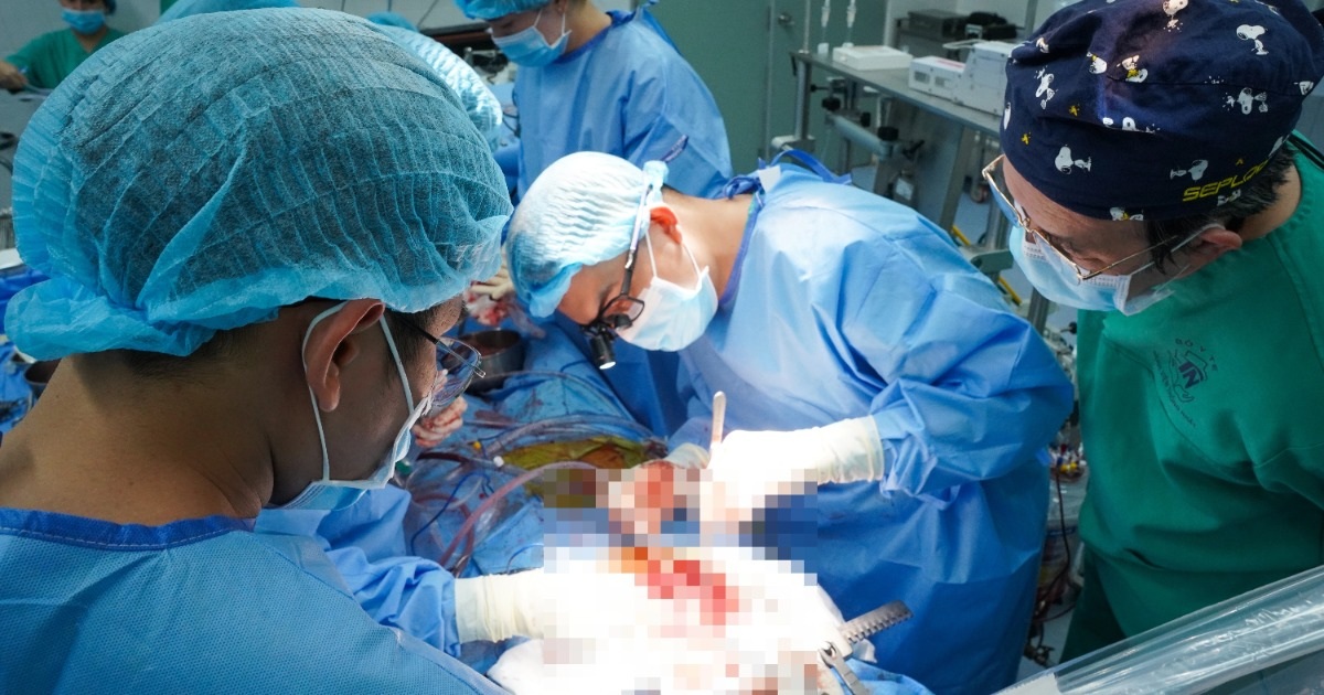 Trái tim đập lại giữa ca ghép “chưa được chuẩn bị” tại bệnh viện ở TPHCM Trái tim đập lại giữa ca ghép "chưa được chuẩn bị" tại bệnh viện ở TPHCM