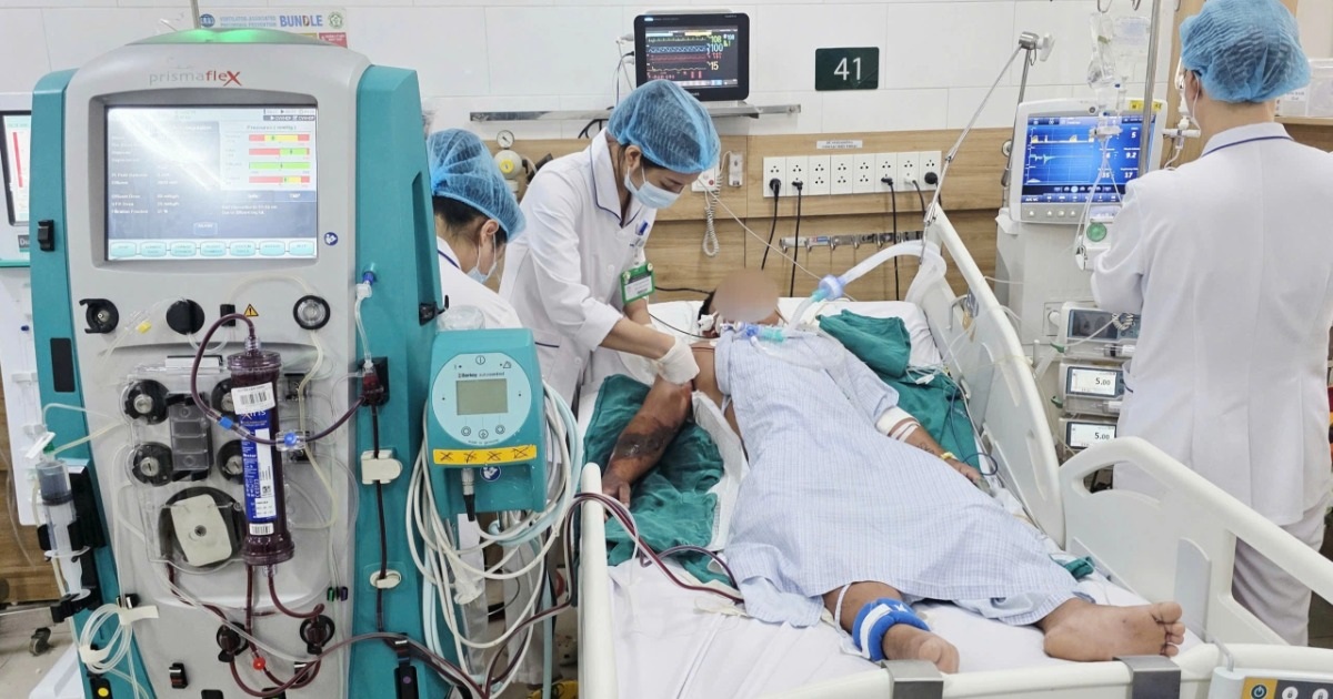 Xử lý sai cách khi bị rắn hổ mang cắn, người đàn ông không qua khỏi Xử lý sai cách khi bị rắn hổ mang cắn, người đàn ông không qua khỏi